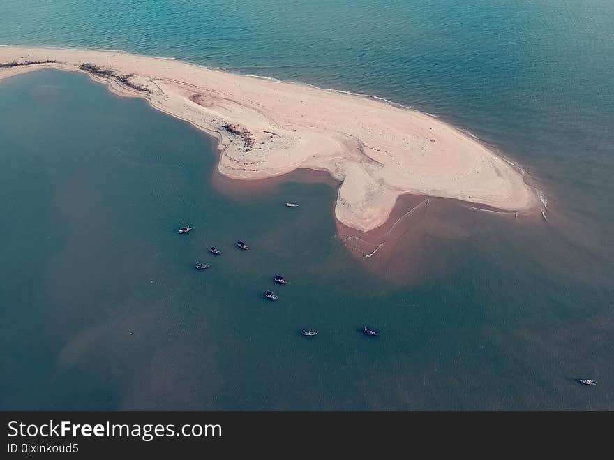 Whale Island Bird Eye Photography