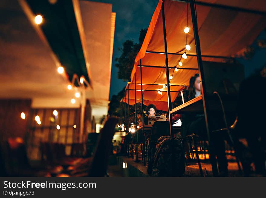 Photo of People Using Their Laptops and Computer During Night