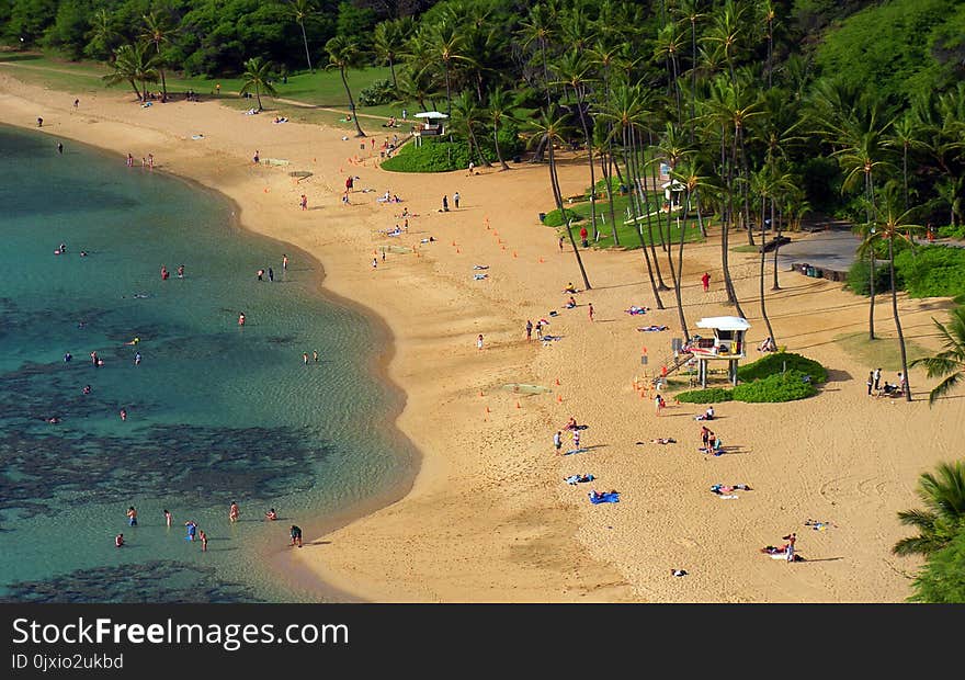 Aerial Photography of Beach