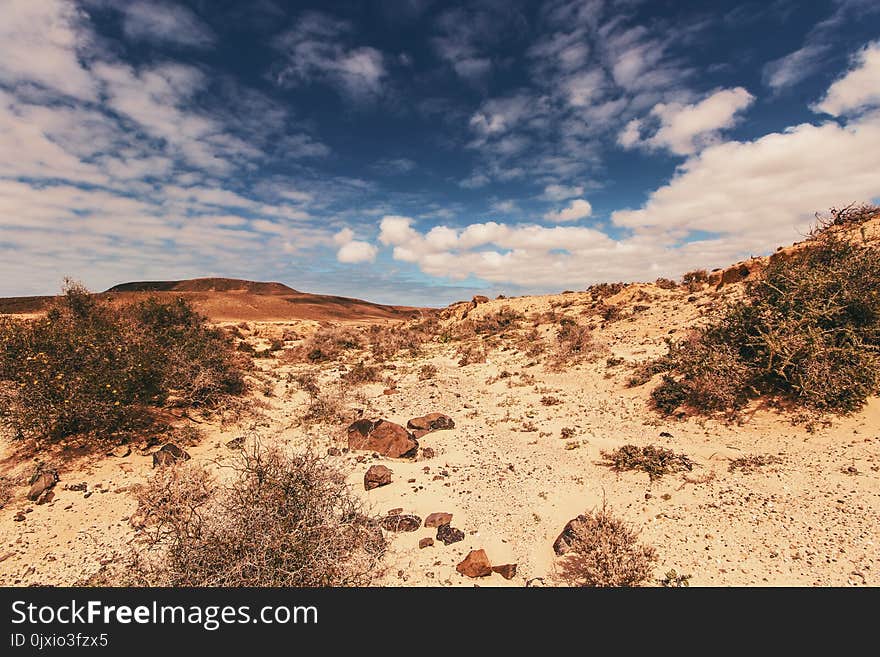 Desert Field Under Cloudy Sky