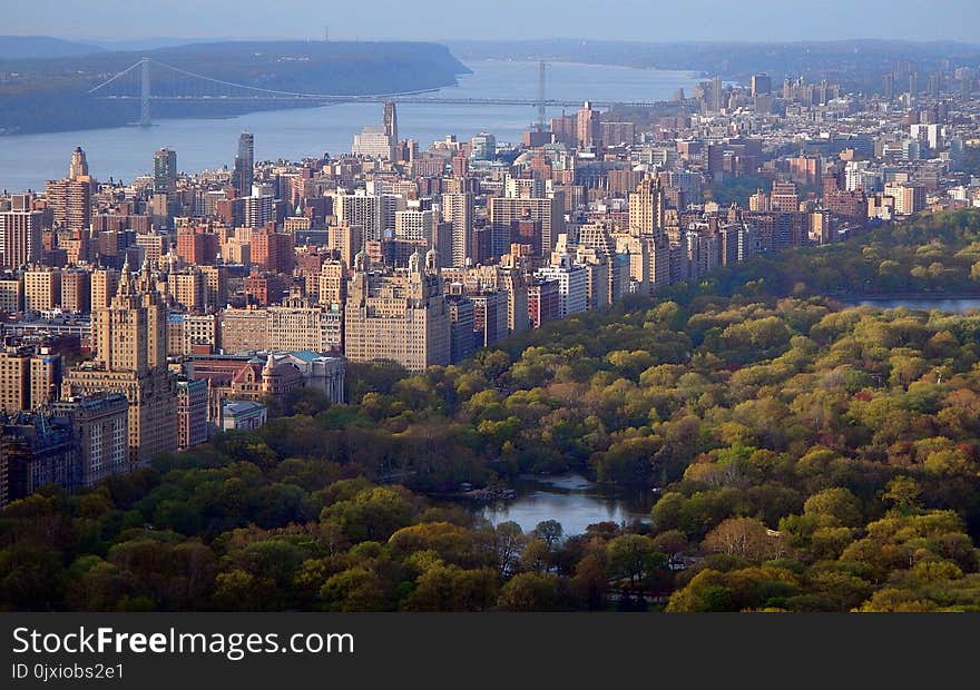 Central Park, New York