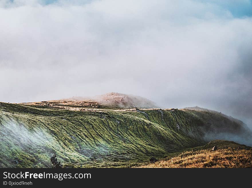 Green Hills Covered With Fog