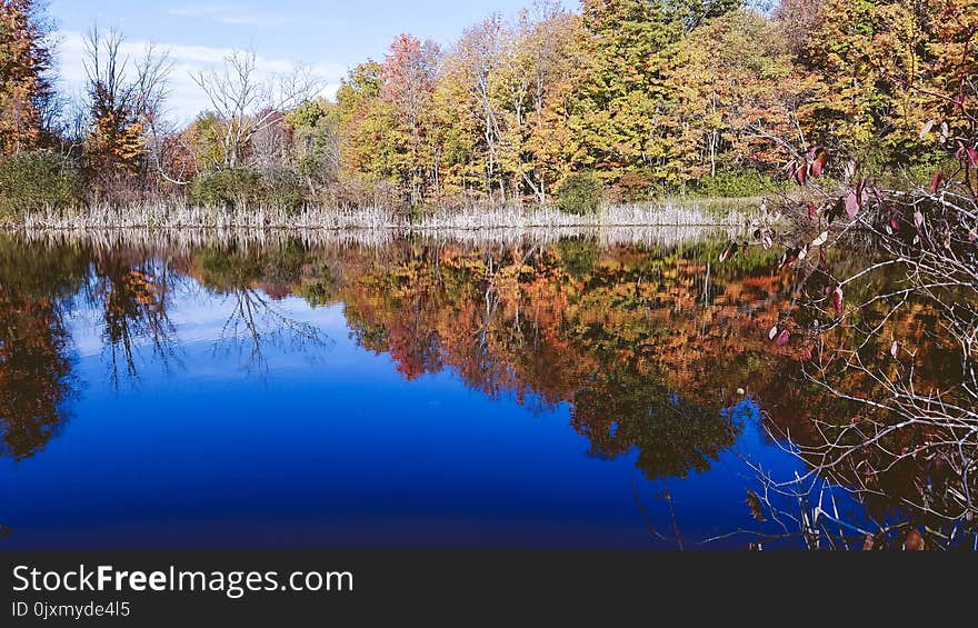 Reflection, Water, Nature, Lake