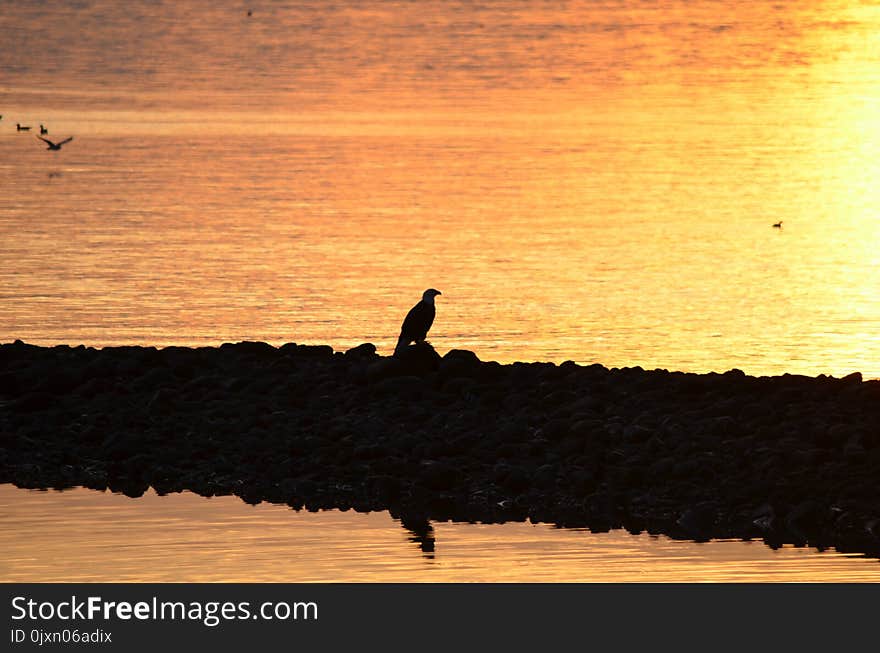 Sky, Water, Horizon, Sunrise