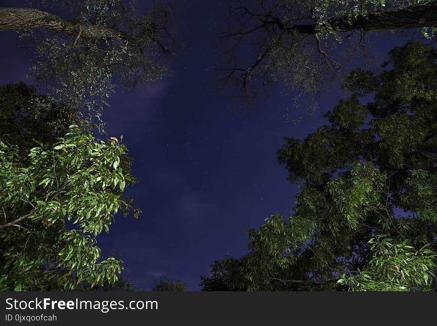 Sky, Nature, Vegetation, Atmosphere