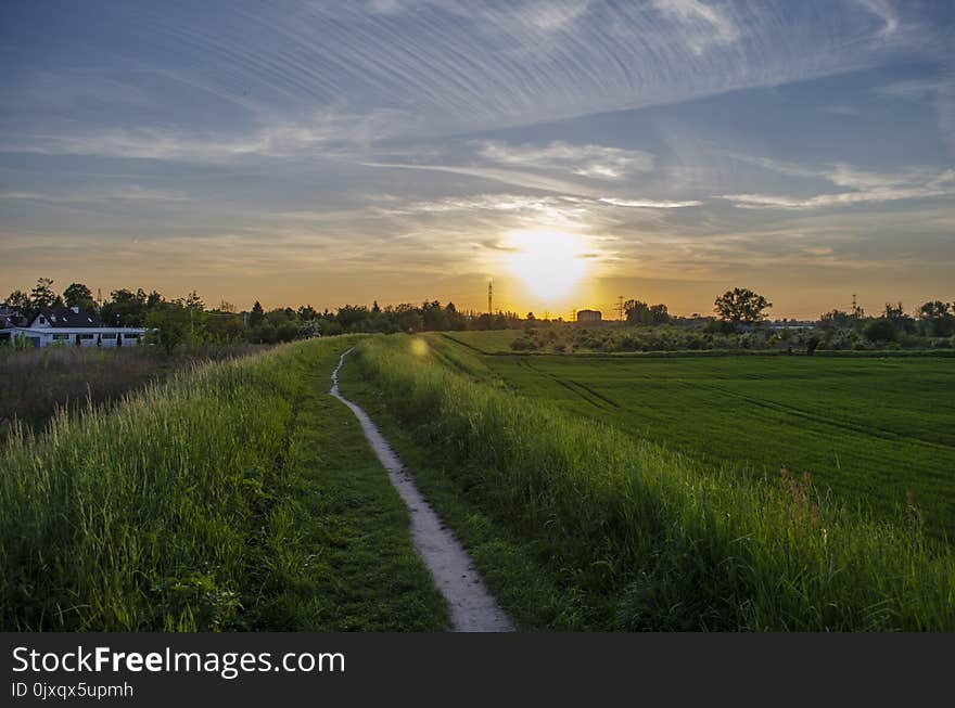 Sky, Field, Nature, Cloud