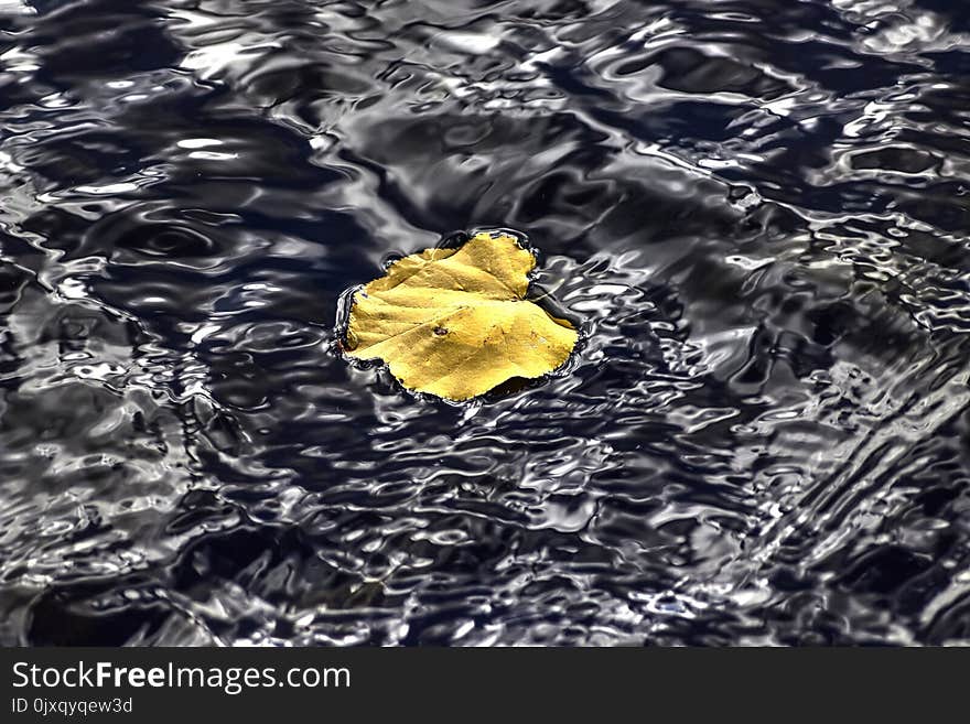 Water, Yellow, Reflection, Water Resources