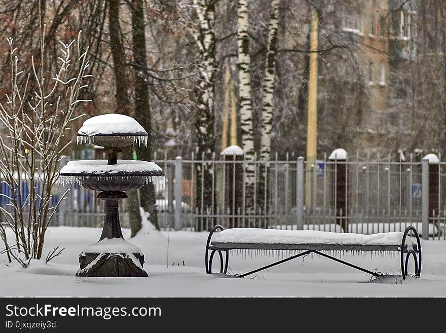 Snow, Winter, Freezing, Tree