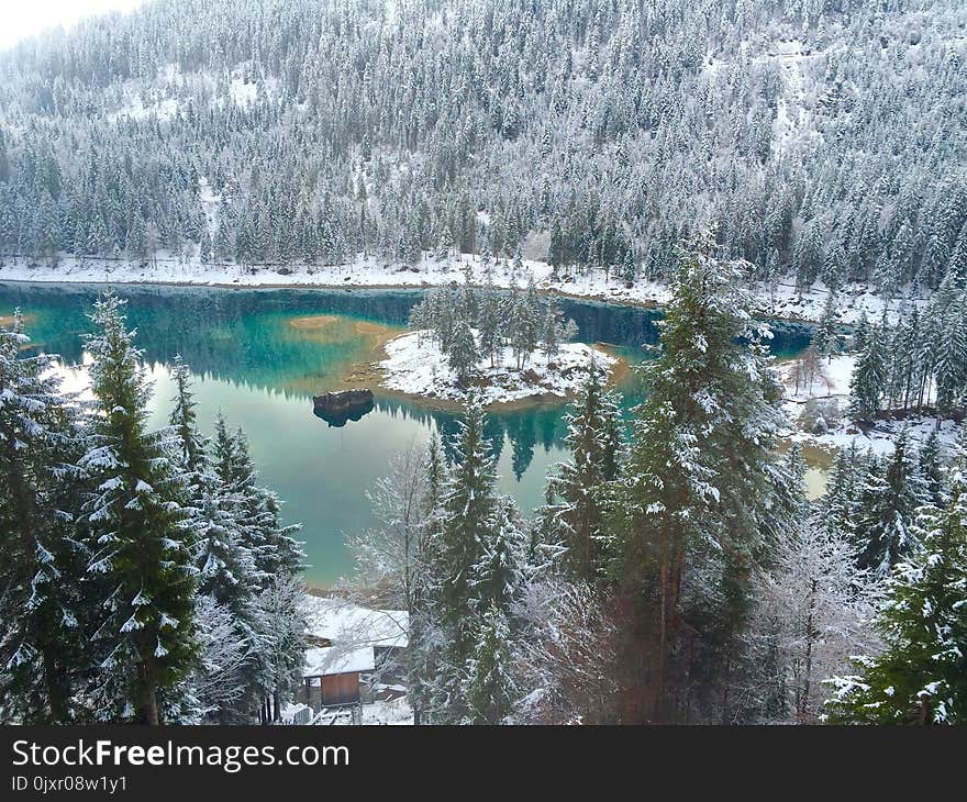 Winter, Snow, Lake, Wilderness