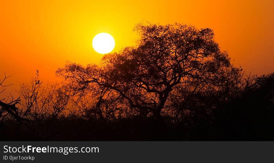 Sky, Sun, Sunrise, Sunset