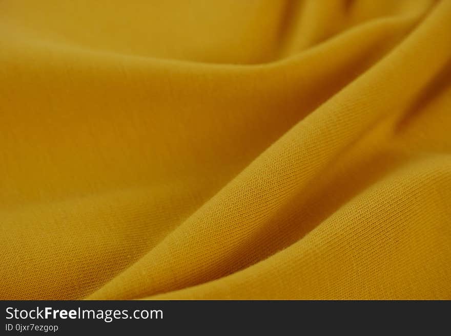 Yellow, Orange, Close Up, Macro Photography