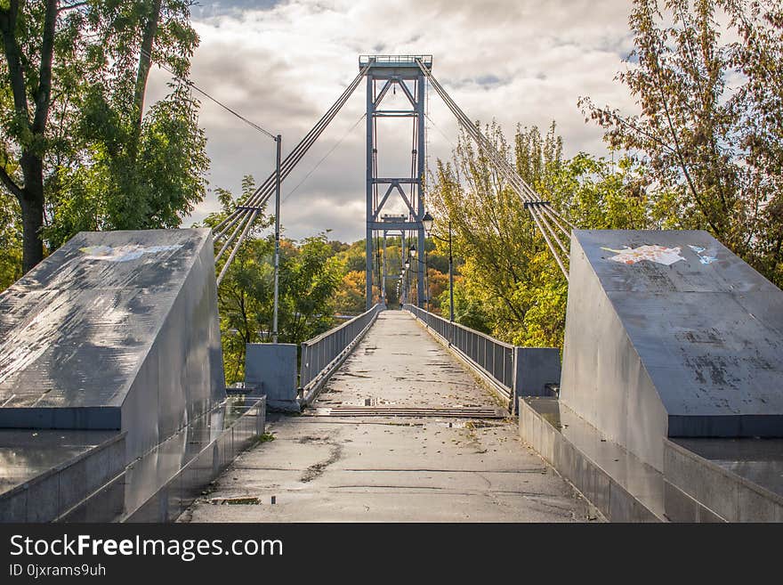 Bridge, Tree, Sky, Plant