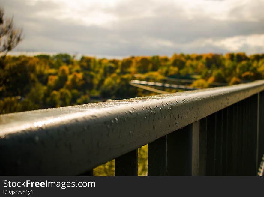 Sky, Yellow, Sunlight, Morning