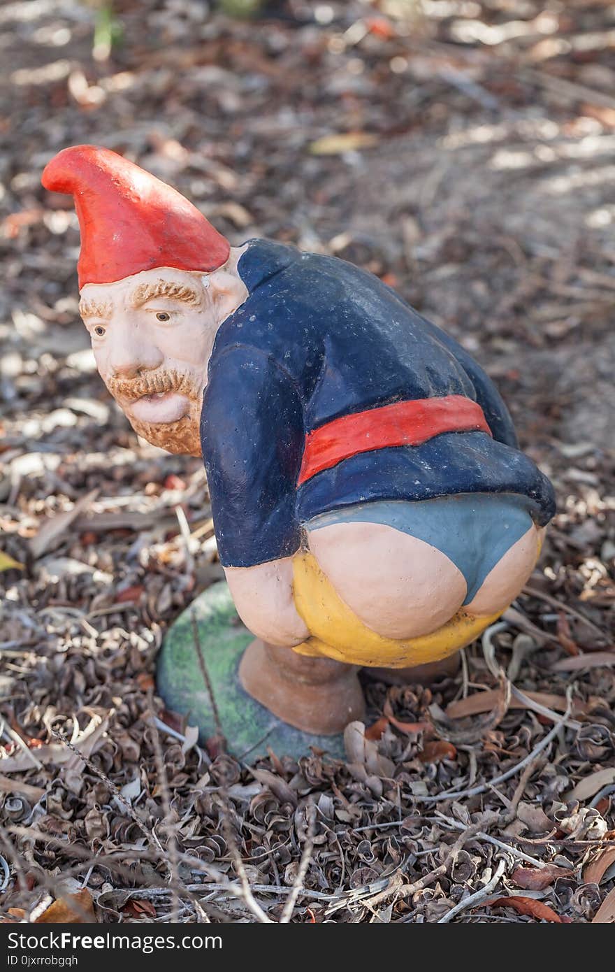 Garden Gnome, Lawn Ornament, Grass, Soil