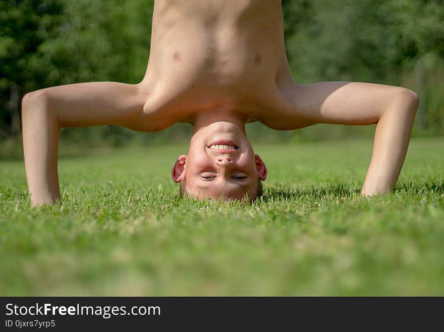 Grass, Plant, Lawn, Meadow