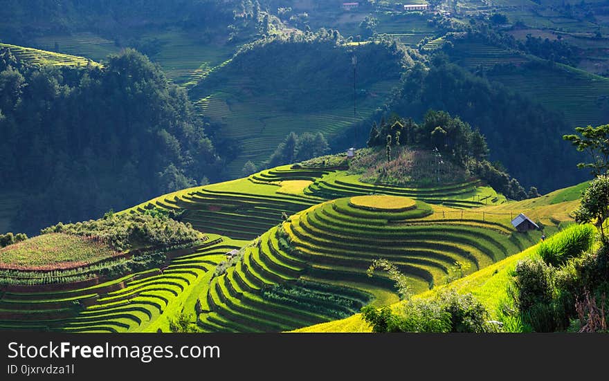 Terrace, Highland, Hill Station, Mount Scenery