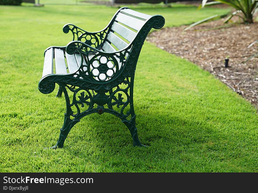 Lawn, Furniture, Grass, Chair