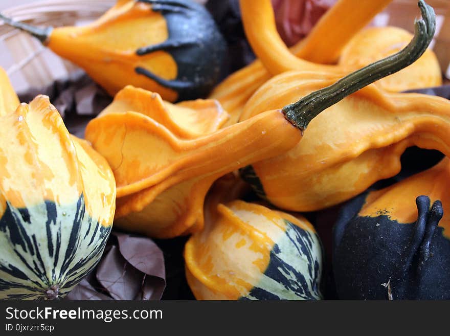 Cucurbita, Vegetable, Calabaza, Winter Squash