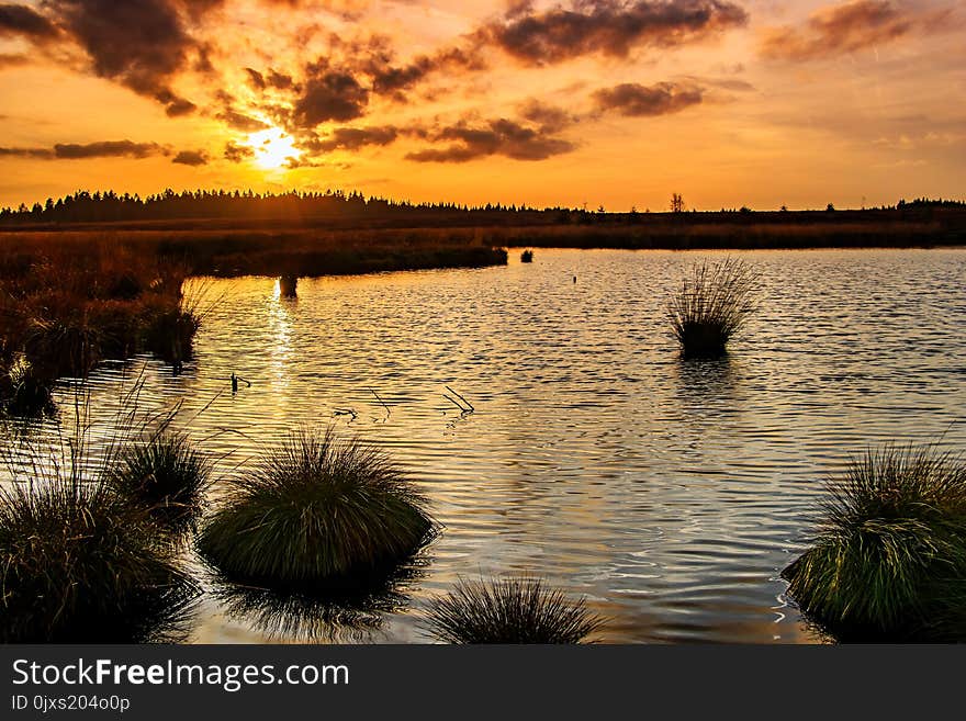 Reflection, Water, Sky, Wetland