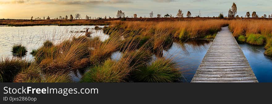 Wetland, Waterway, Reflection, Water