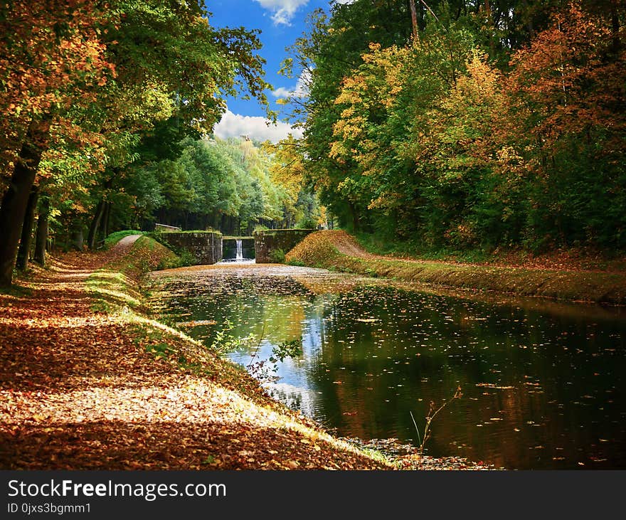 Reflection, Waterway, Water, Nature