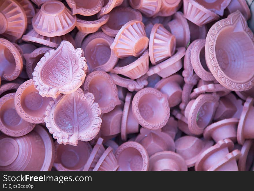 Pink, Purple, Conchology, Seashell