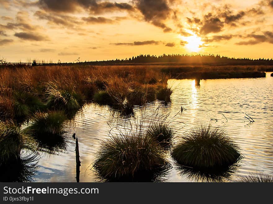 Reflection, Sky, Water, Wetland