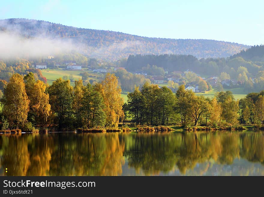 Reflection, Nature, Leaf, Water