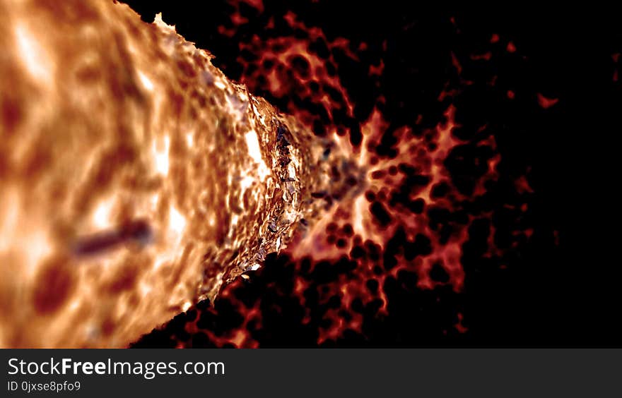 Macro Photography, Close Up, Flame, Organism