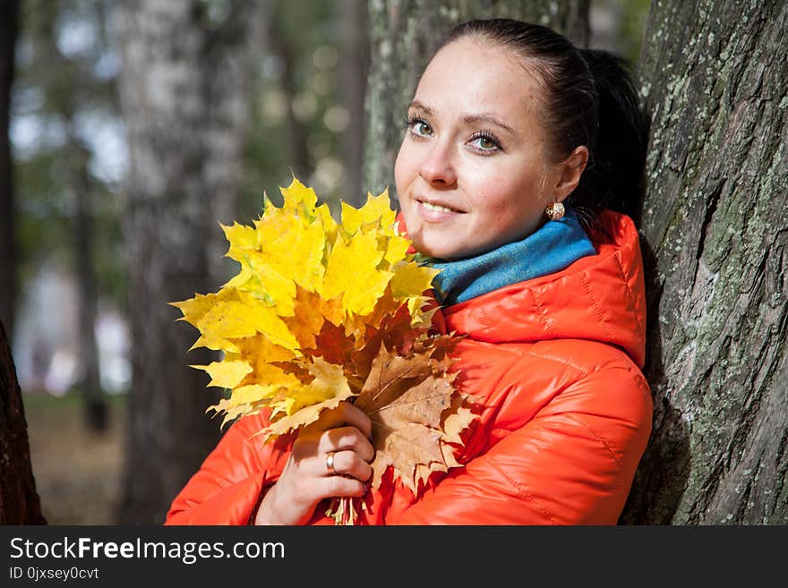 Tree, Plant, Autumn, Girl