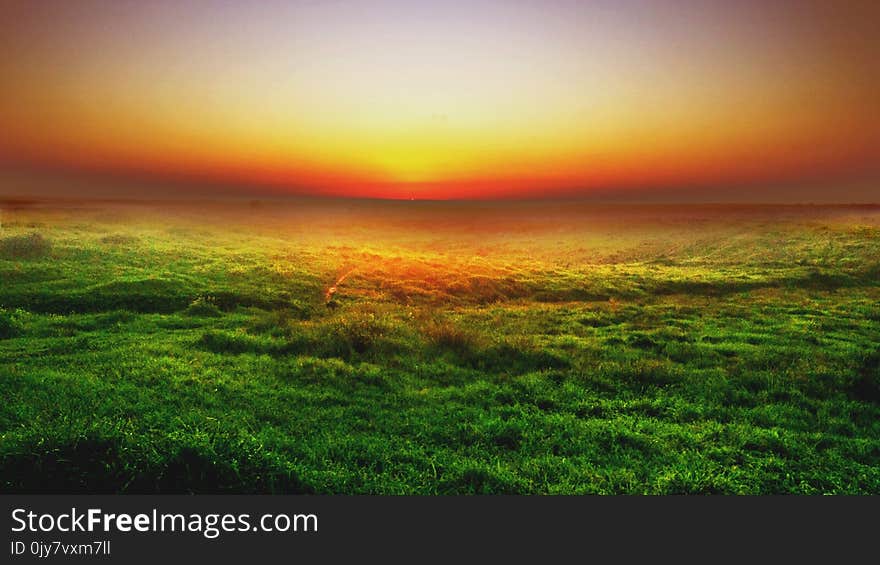 Photo of Green Grass Field