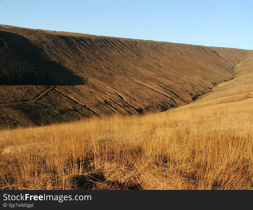 Brown Grassland Landscape