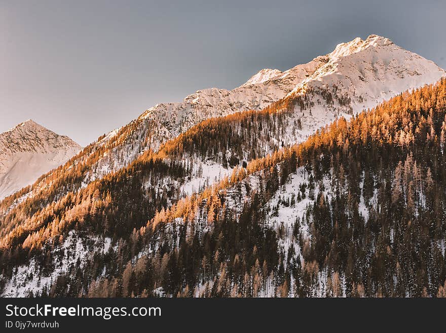 Snowy Mountain