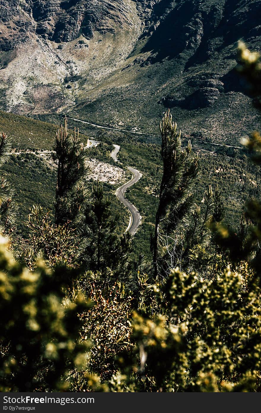 Gray Road Surrounded by Green Grass Field and Trees