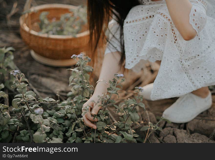 Person Wearing White Dress Holding Green Leaf