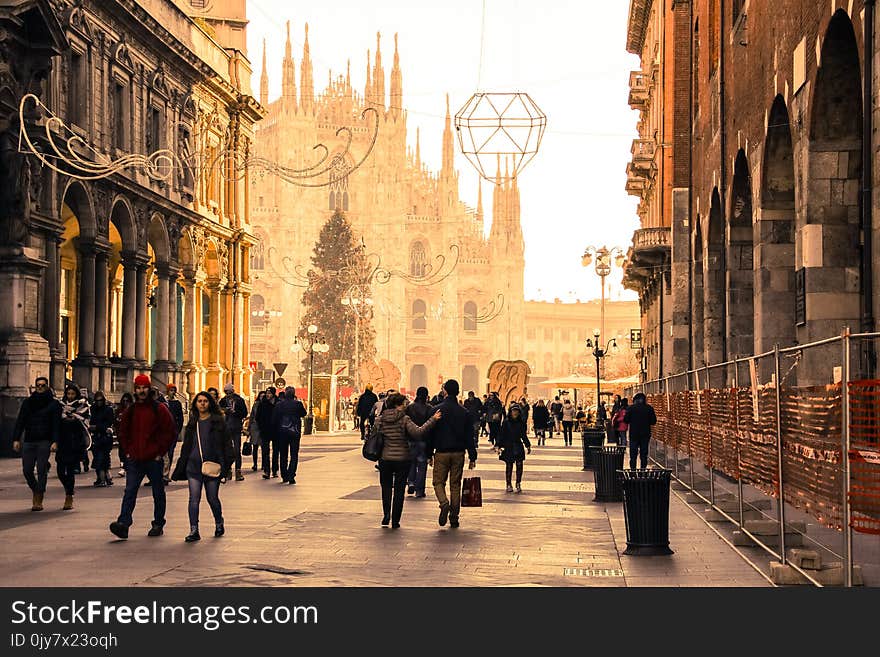 Group of People in Between Buildings