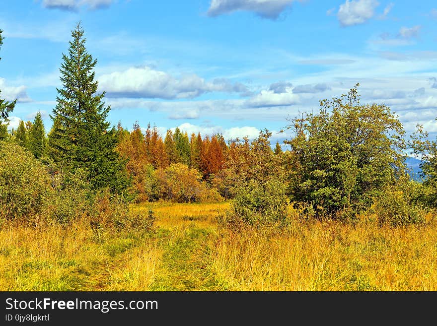 Ecosystem, Nature, Nature Reserve, Sky