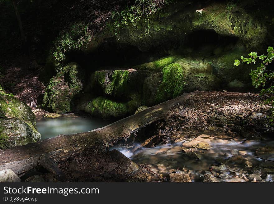 Water, Nature, Stream, Body Of Water