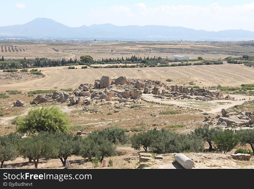 Ecosystem, Shrubland, Ecoregion, Steppe