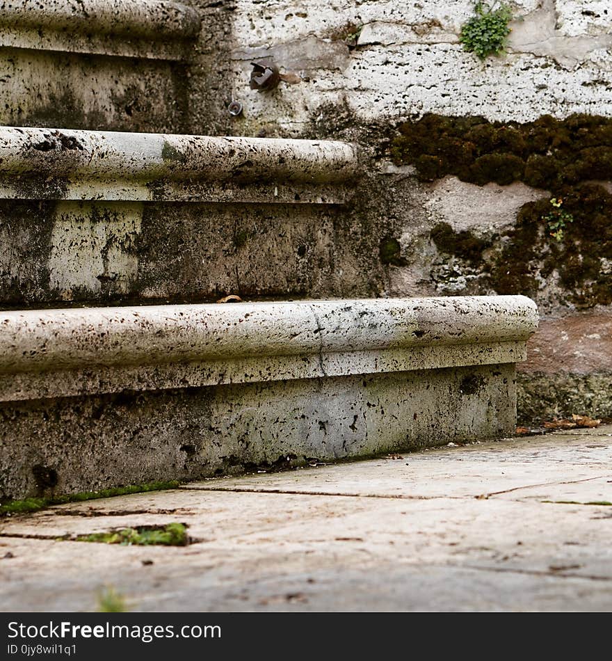 Wall, Wood, Ancient History, Grass