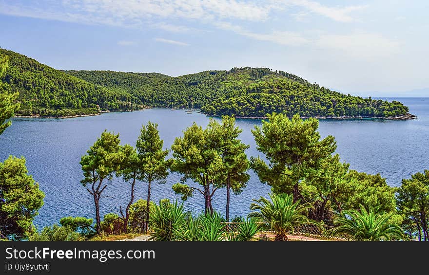 Vegetation, Nature Reserve, Coast, Promontory