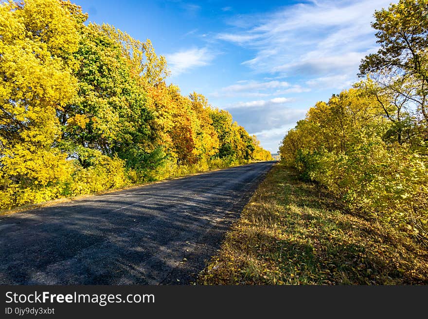 Road, Nature, Yellow, Sky