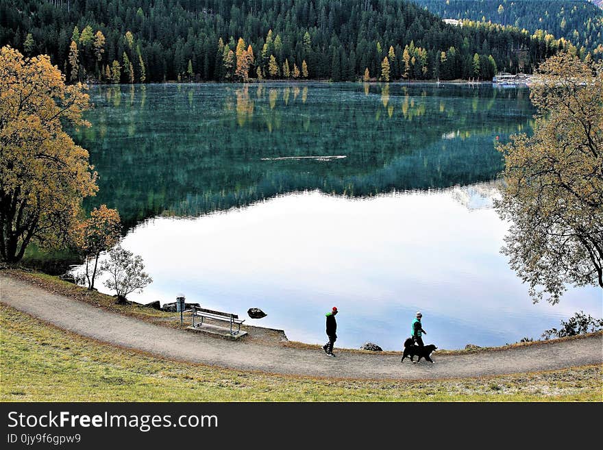 Water, Nature, Lake, Reflection