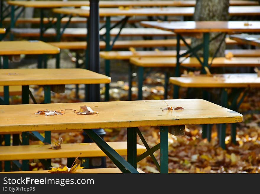 Furniture, Table, Wood, Chair