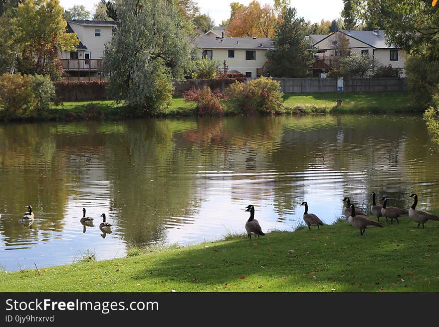 Waterway, Water, Body Of Water, Reflection