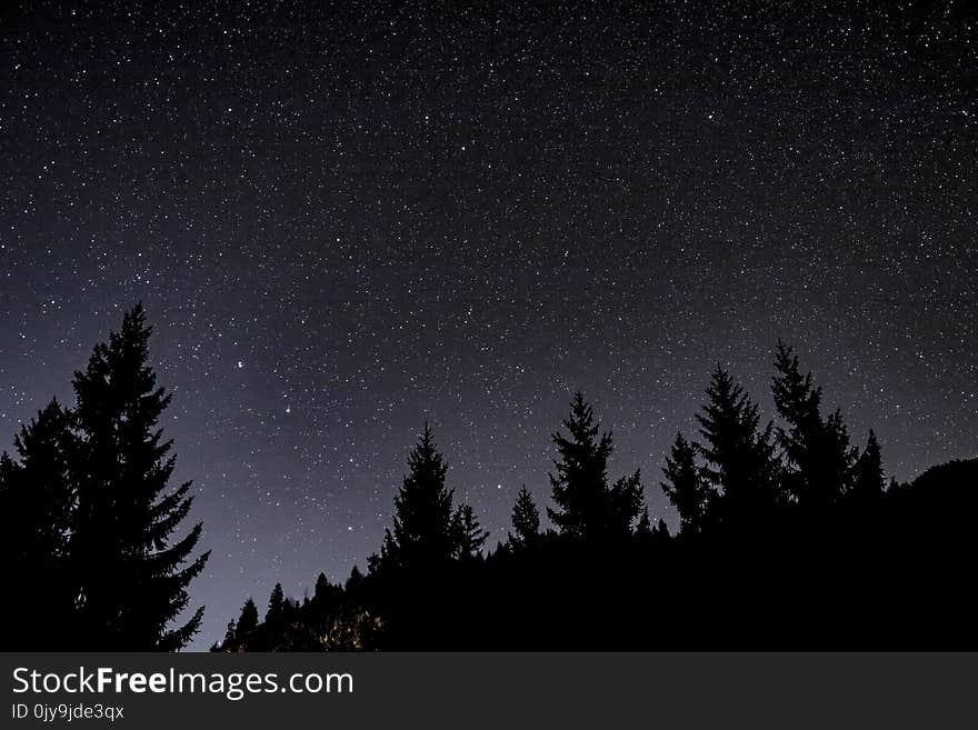 Sky, Nature, Black, Atmosphere