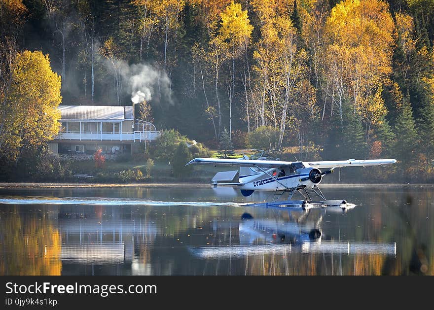 Reflection, Water, Nature, Waterway