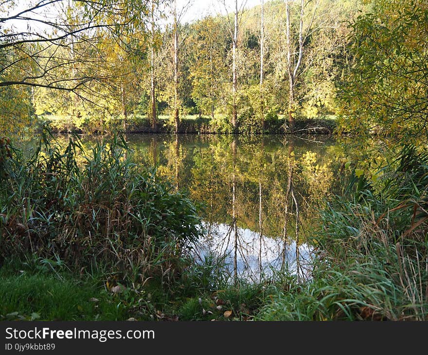 Water, Reflection, Nature, Nature Reserve