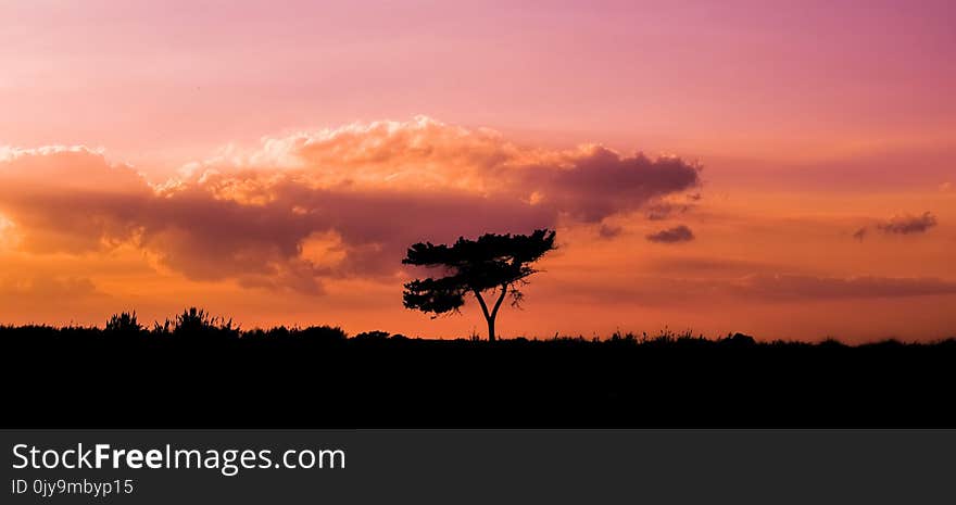 Sky, Afterglow, Sunset, Red Sky At Morning