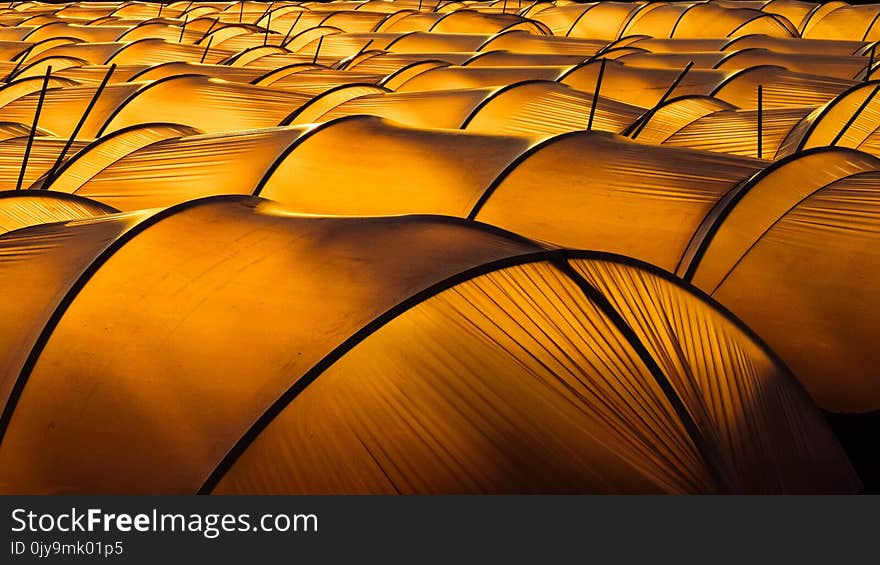 Yellow, Orange, Close Up, Pattern